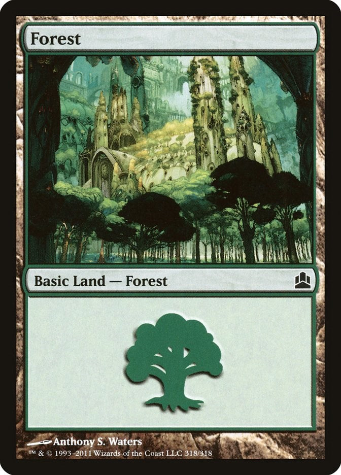 Forest (318)
